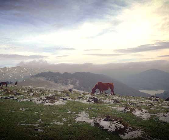 carte camping pays basque